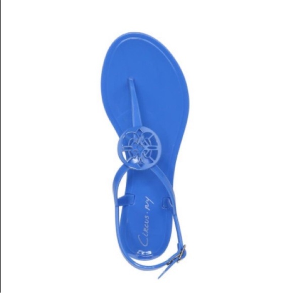 Circus by Sam Edelman Shoes - Circus by Sam Edelman Blue Mae Jelly Medallion Thong Sandals Size 8